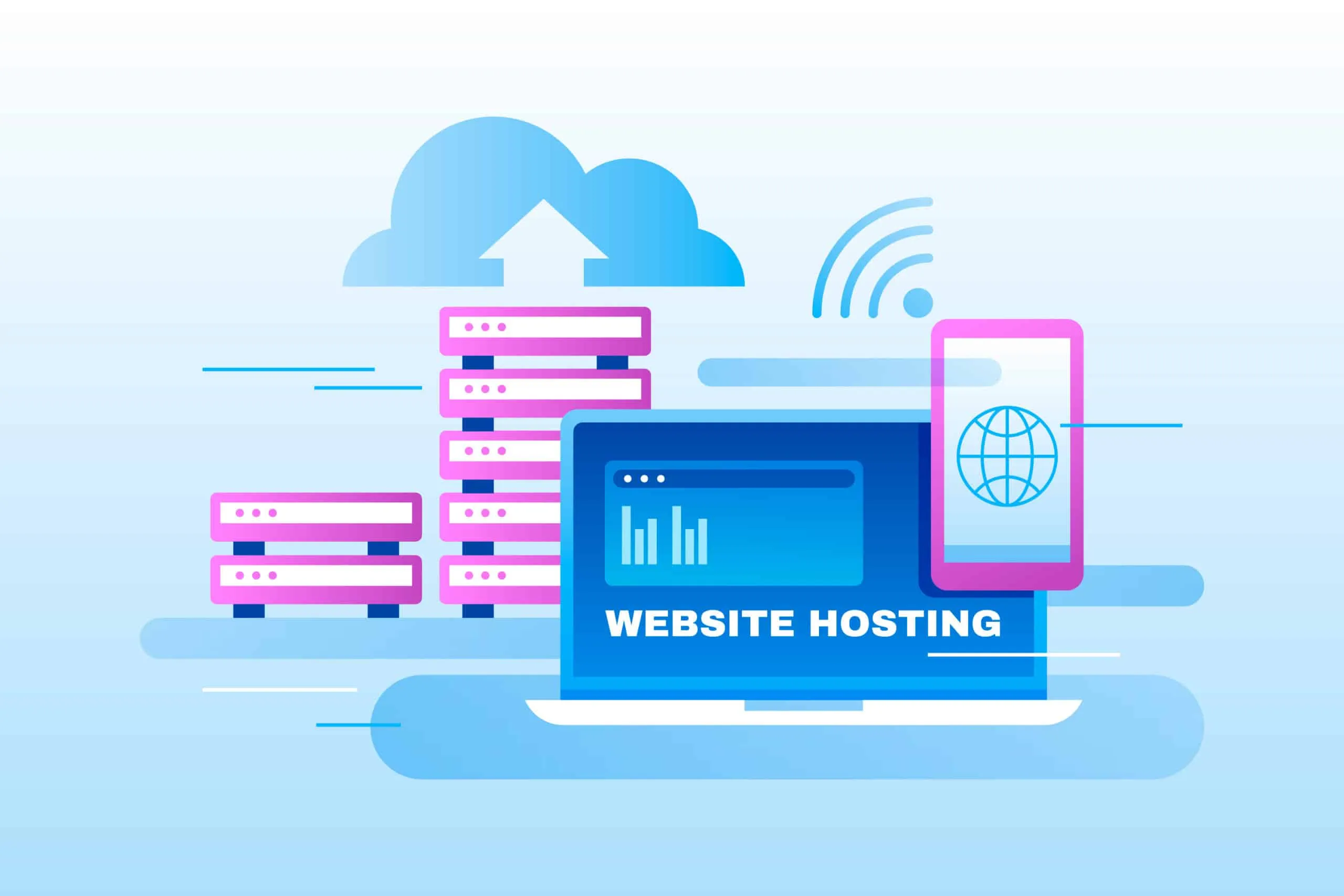 apims technology Custom Hosting service